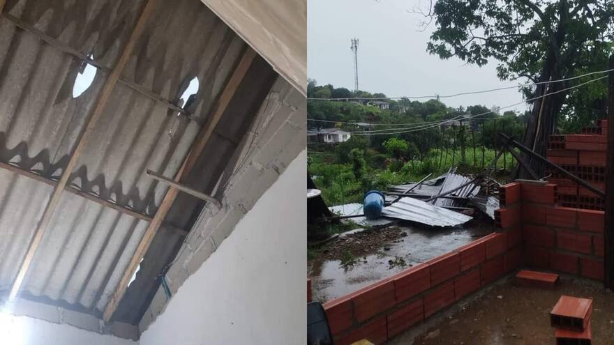 Árboles caídos, una vía afectada y 40 casas averiadas, el balance preliminar de vendaval en Piojó