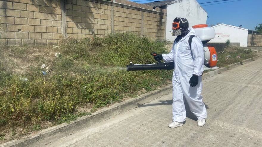 Sucre: alerte amarilla por aumento de casos de dengue en 4 municipios
