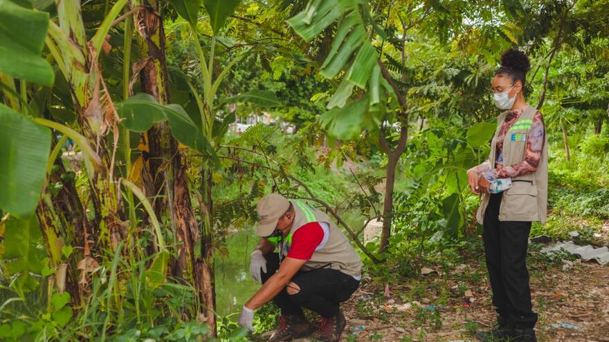 En Bolívar: Advierten incremento de caracoles africanos en Cartagena