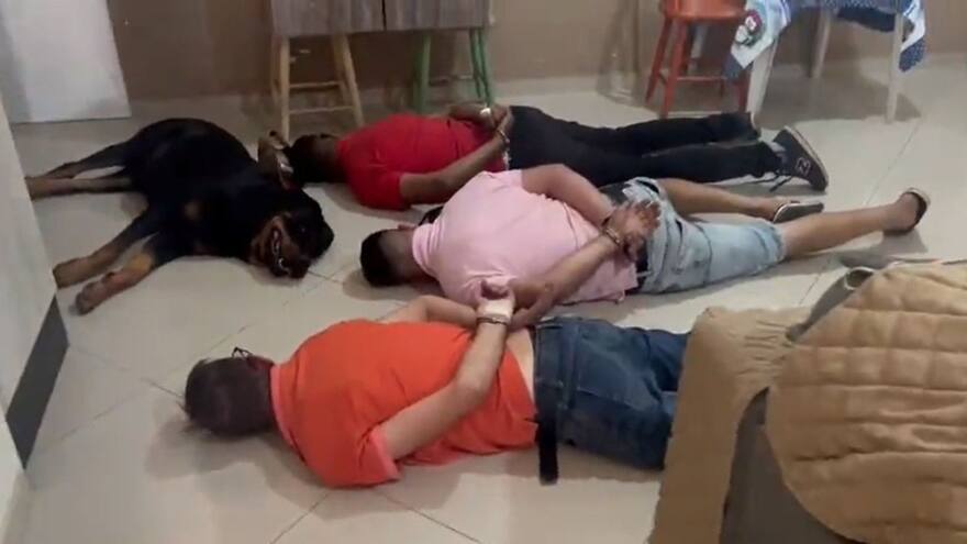 Perro guardián se rinde ante un operativo de la Policía en contra de sus dueños