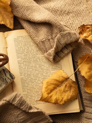 Frenos y contrapesos | Columna Orlando Caballero Díaz