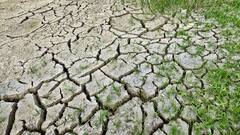 Sector eléctrico listo para enfrentar el fenómeno de El Niño | Columna de Alejandro Castañeda Cuervo