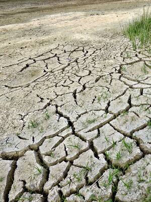Sector eléctrico listo para enfrentar el fenómeno de El Niño | Columna de Alejandro Castañeda Cuervo