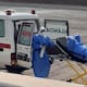 Confirman que hantavirus que causó 3 muertes en crucero es de cepa transmisible entre humanos