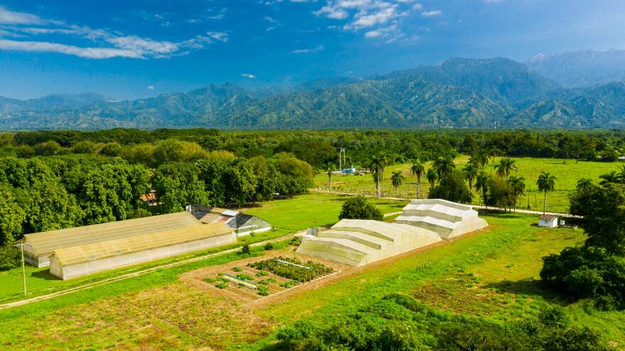 Proyecto de horticultura en Magdalena gana premio científico
