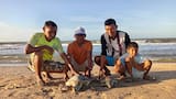 Pescadores rescatan y liberan tres tortugas marinas en la alta Guajira