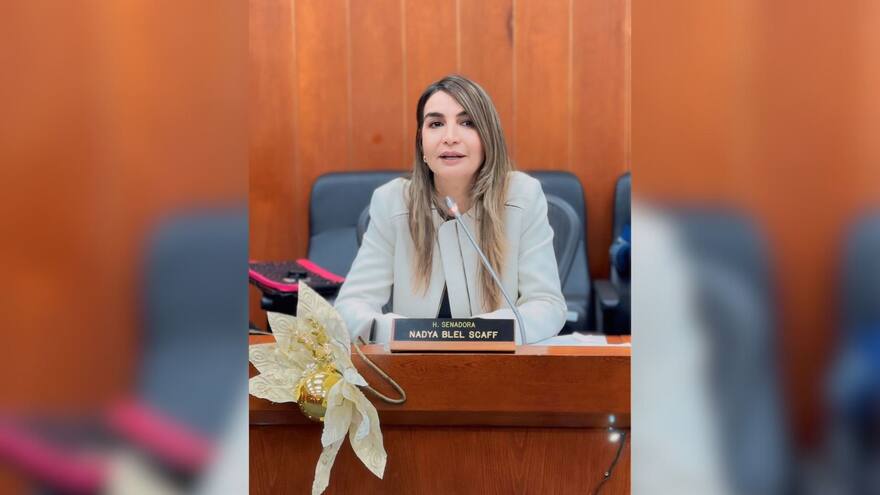 Presidenta de Comisión VII cuestiona radicación de ponencia de la laboral