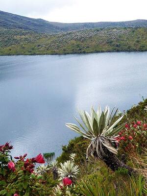 Entre el ambientalismo vulgar y el complejo
