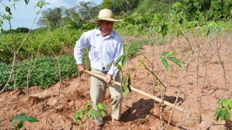 Reforma agraria: Lo bueno y lo malo de compra de tierras para los campesinos