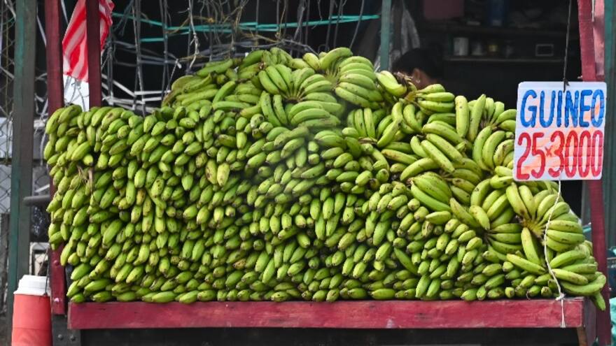 Qué dice el Dane sobre el plátano que ha bajado de precios en Colombia