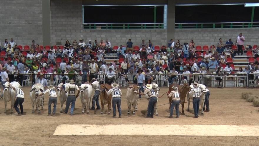 Valledupar se prepara para los 40 años de su Feria Ganadera