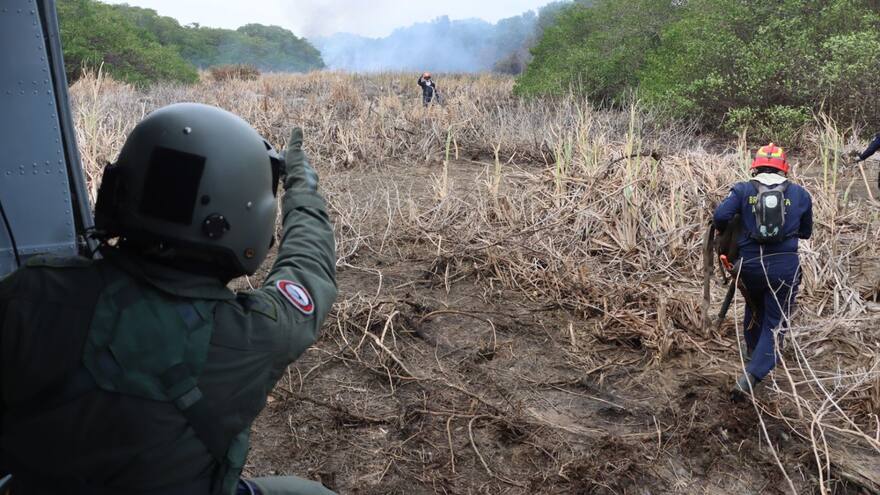 Caza ilegal y extracción de carbón vegetal, causas de incendios en Salamanca