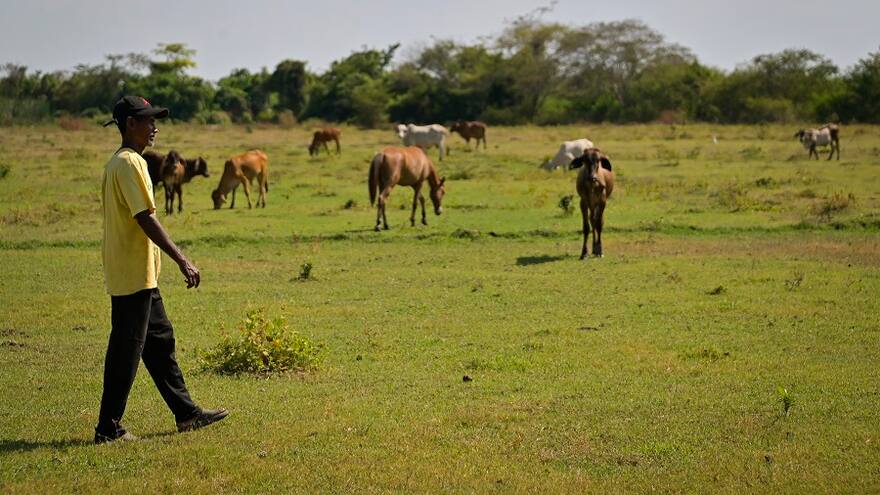 Más de siete millones de personas participan en red comunitaria de Miambiente