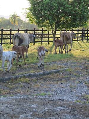 Tierra para distribuir: ¿cuánta hay… cuánta falta? | Columna de José Félix Lafaurie