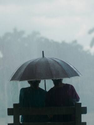 ‘Querido trópico’ – La intimidad como territorio