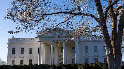 Trump planearía posibles ataques por tierra en Colombia y Venezuela, según congresista de EE. UU.