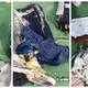 Publican las primeras imágenes de los restos del avión de Egyptair