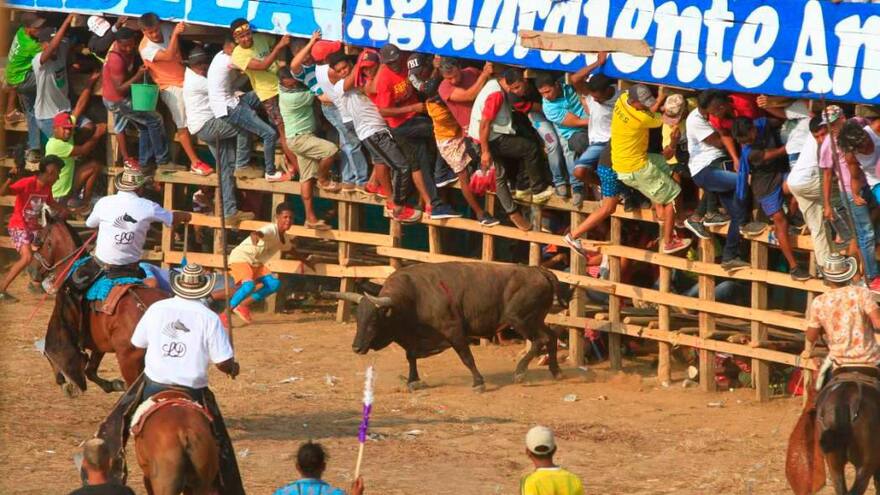 Reportan cinco heridos en las corralejas por Fiestas Patronales de San Pablo de Pedraza, Magdalena