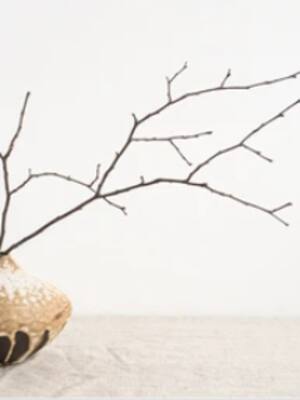 Wabi Sabi| columna de Yamid Amat Serna