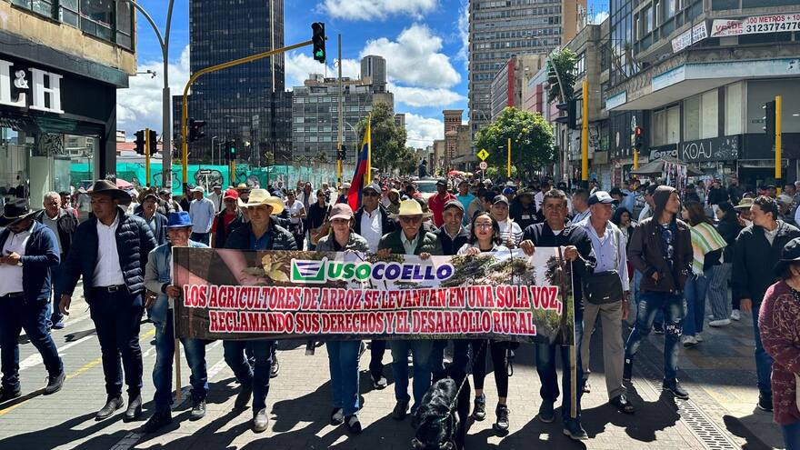 Gremio de arroceros advierte al Gobierno sobre un paro nacional de productores