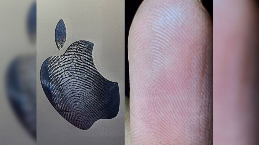 Lofoscopia, la labor pericial para cazar a los suplantadores