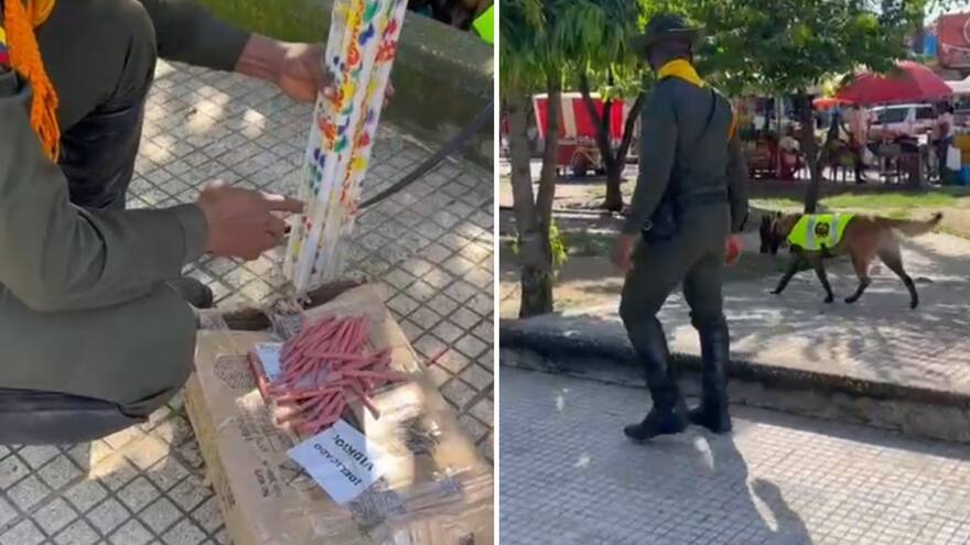 Oker, el canino que frustra la venta de pólvora en Córdoba