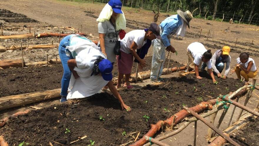 Construyen huertas para fomentar seguridad alimentaria en zona rural de Sincelejo