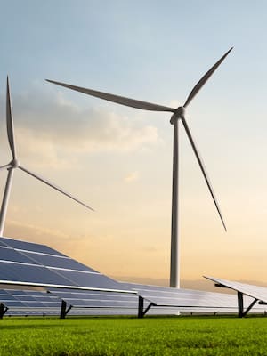 Festina Lente: Avanzar sin apuro (1)