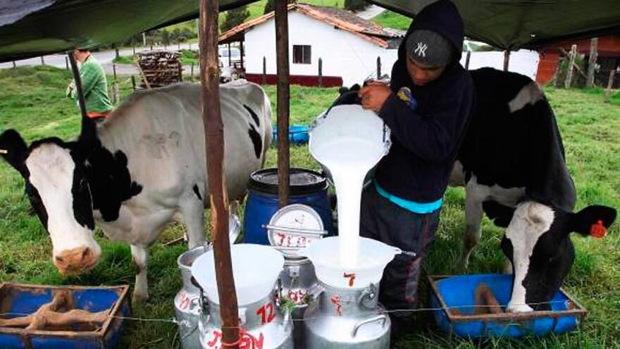 Fedegán lanza alerta a ministerios de Agricultura y Comercio sobre “agudización” de la crisis lechera
