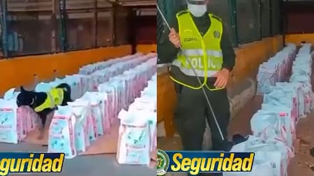 La Policía logra la incautación de cocaína “más grande en la última década”
