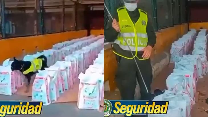 La Policía logra la incautación de cocaína “más grande en la última década”