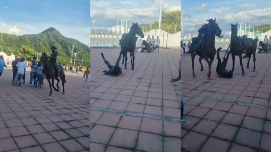 Santa Marta: hincha tumbó con una piedra a policía de su caballo, en el marco dle juego del Unión Magdalena contra el América
