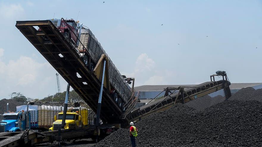 Coque, el otro oro negro de Colombia