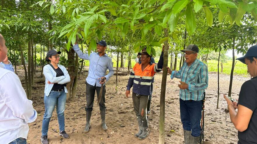 Ocho municipios del Cesar en alerta roja por deslizamientos de tierra