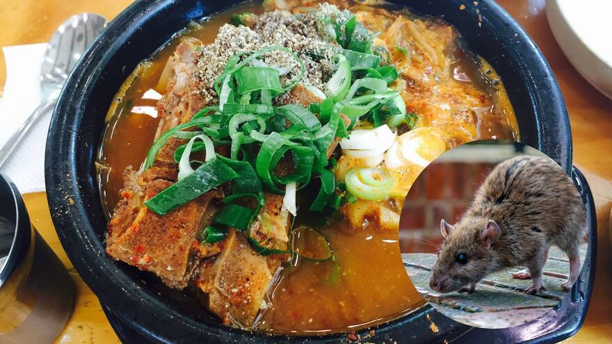 Un hombre en Nueva York denuncia haber encontrado una rata en su sopa