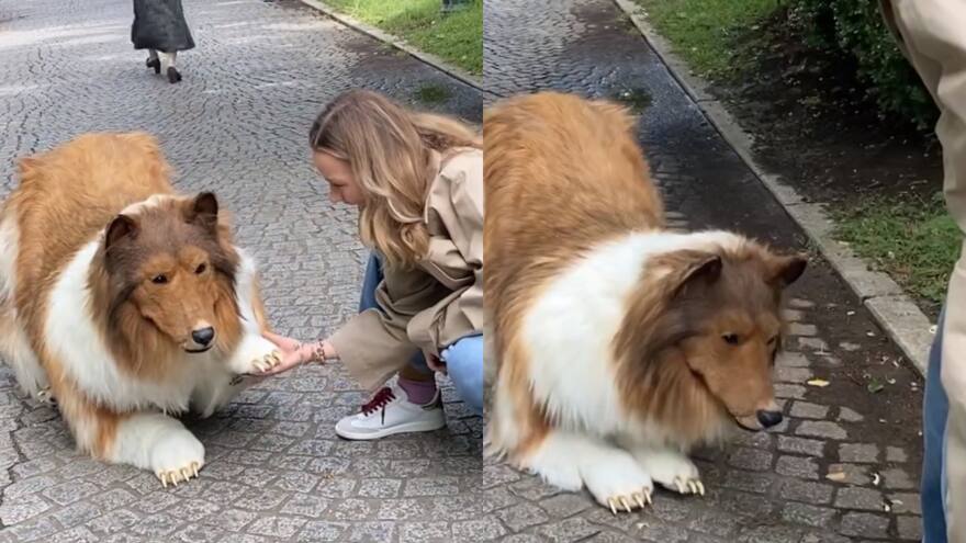 Hombre se gastó $13.000 euros para convertirse en perro