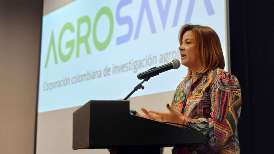 'Proyecto de actualización predial no afectará las capitales': minagricultura