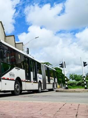 Urge cirugía al transporte masivo | Columna de Horacio Brieva