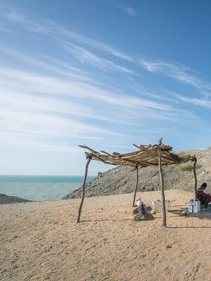 Lo que el viento se llevó
