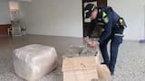 Autoridades incautan 100 kilos de marihuana en el aeropuerto El Dorado