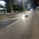 Reportan muerte de motorizado en la Vía 40: habría chocado contra un poste