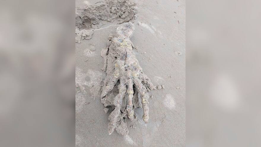 Encontraron esqueleto de una mano gigante en playa de Brasil