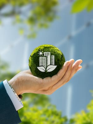 Más territorio, más desarrollo