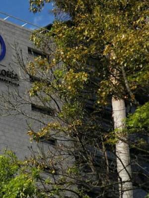 Elección de un contralor inhabilitado| columna de Francisco Cuello Duarte