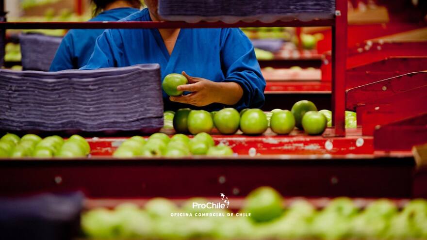 Atlántico atractivo para inversionistas chilenos