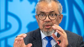 La OMS eleva a once los casos positivos por hantavirus pero el riesgo sigue siendo bajo