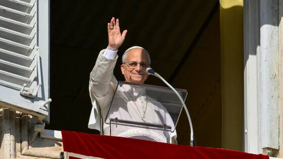 El papa pide paz, reconciliación y educación en la no violencia ante la Inmaculada