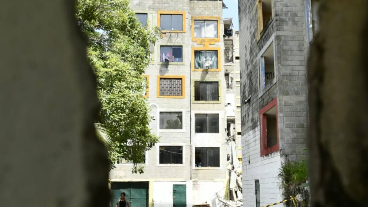 Conjunto Privilegios