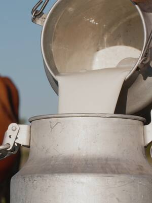 Centro de acopio lechero: Elefante blanco en total impunidad | Columna de Hernán Baquero Bracho