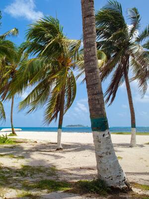 El potencial del Caribe colombiano | Columna de Ricardo Plata Sarabia